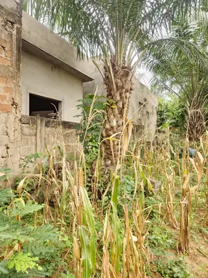 Terrain 300 m² en vente à Sanguéra Klemé – 13 millions FCFA — photo 2