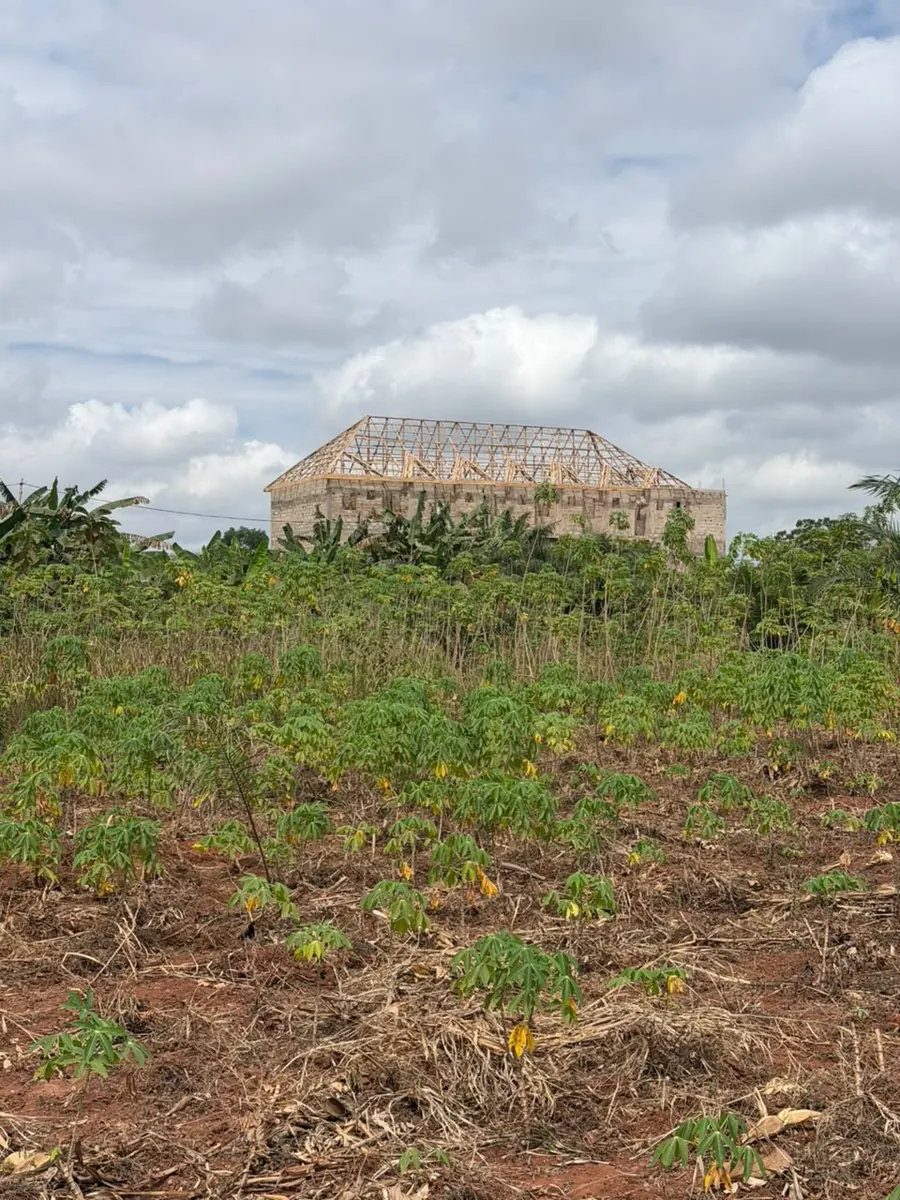 Vente de terrain à Noépé, 2 lots en bordure de voie de 70m – 10 millions FCFA le lot