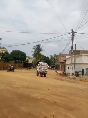 Terrain de 300 m² en vente en bordure de goudron à Hédzranawoé – 50 millions FCFA — photo 3