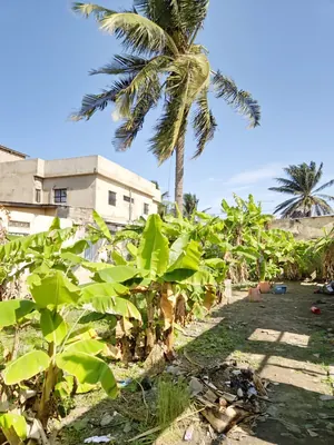 Vente d'un terrain à Nyékonakpoè Lycée, 382 m², à 250 m du goudron – 35 000 000 FCFA — photo 7