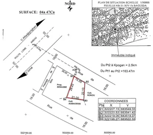 Vente d'un terrain à Kpogan, près de demi-lot (223,5 m²), à 50 m de la route nationale n°2 – 9 millions FCFA à débattre