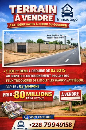Terrain 1 lot et demi à vendre au bord du goudron à Attiégou Savoir – 80 millions FCFA