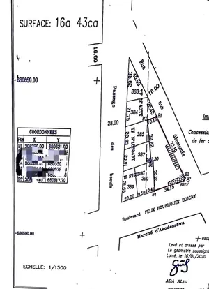 Terrain 1643 m² en vente en angle de rue à Akodessewa – 350 millions FCFA