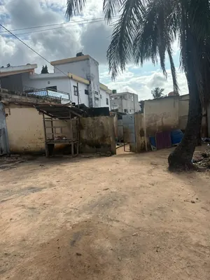 Terrain 300 m² en vente à Léo 2000 derrière école la volonté – 25 millions FCFA — photo 3