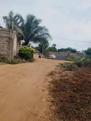 Terrain demi-lot de 300 m² en vente à Zanguera UCAO – 10 millions FCFA — photo 3