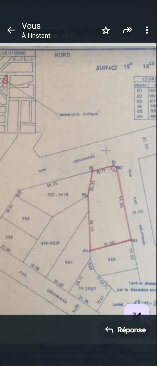 Terrain 2 lots et demi en vente en angle de rue à Agoé Assiyéyé – 60 millions FCFA le lot