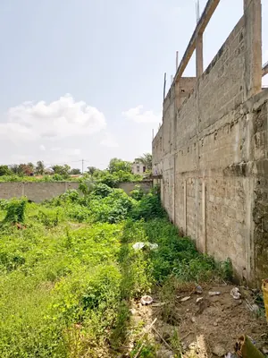 Terrain demi-lot angle de rues à vendre à Agoè Sogbossito Anokui – 18 millions FCFA — photo 2