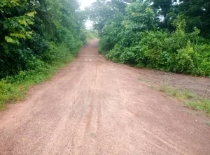 Terrain de 30 hectares à vendre à Kpevego – 5 millions FCFA l'hectare — photo 4