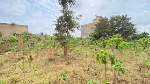 Terrain demi-lot 300 m² à vendre à Adidogomé Segbé Akato – 10 millions FCFA — photo 4