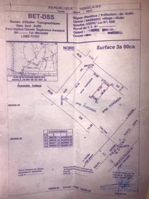 Terrain demi-lot à vendre à Ségbé Akato-Viépé – 8,5 millions FCFA — photo 4