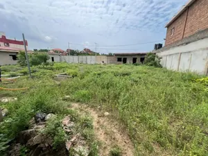 Terrain 1247 m² en vente à Baguida Aquereburu – 150 millions FCFA — photo 2