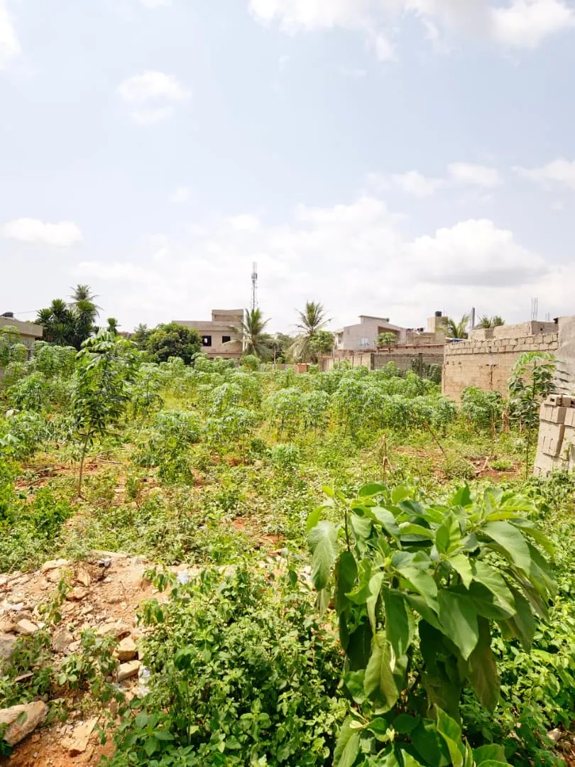 Terrain 245 m² en vente à Legbassito – 10 millions FCFA