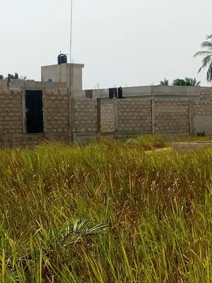 Terrain ¾ de lot en vente à Agovoudou, côté plage – à partir de 2,7 millions FCFA — photo 4