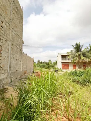 Terrain demi-lot 300 m² en vente à Agoè Legbassito Madjikpeto, à 100 m du goudron – 14 millions FCFA — photo 5