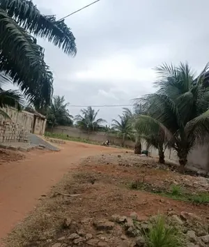 4 lots clôturés à vendre à Adidogomé Lankouvi-Sagbado – 100 millions FCFA — photo 7