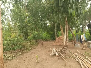 Terrain 2 lots de 1200 m² en vente à Adidogomé Apédokoè – à partir de 23 millions FCFA — photo 3