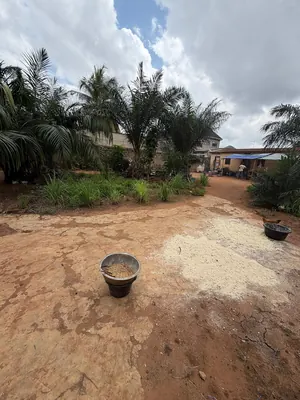 Terrain 1 lot en vente à Assigomé École Déo Gracias – 35 millions FCFA — photo 4