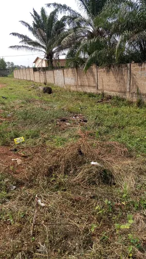 Terrain 1406 m² en vente à Adetikopé – 45 millions FCFA — photo 2