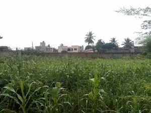 Terrain 2 lots clôturé en vente à Agoè côté Camp de Police – 22 millions FCFA le lot — photo 3