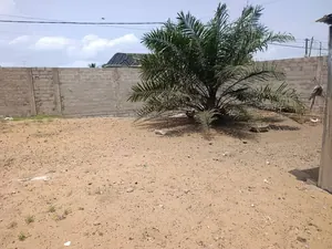 Terrain demi-lot carré en vente à Kagnikopé Lomé Port – 25 000 000 FCFA — photo 3