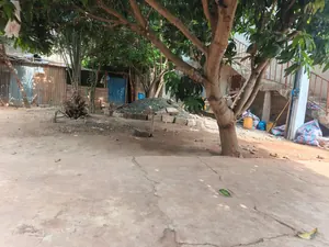 Maison en vente proche du goudron à Agoè Assiyéyé – 80 millions FCFA — photo 3