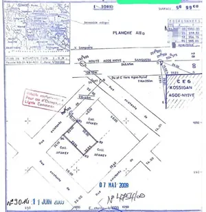 Terrain 2 lots en vente à Zanguera Akepedo après le péage – 12 millions FCFA le lot — photo 3