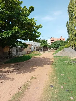 Terrain 1 lot en vente à Klikamé Catholique, Lomé – 60 millions FCFA — photo 4