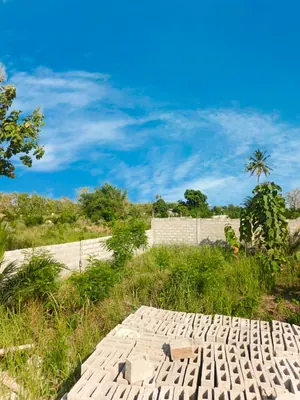 Terrain de plus de 5 lots en vente à Kpala-Djigbé – 12 millions FCFA le lot — photo 5