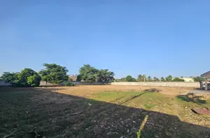 Terrain 600 m² en vente à Avenou Toto – prix à partir de 70 millions FCFA le lot