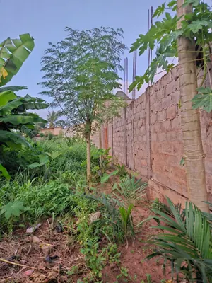 Terrain 754 m² en vente en bordure de voie à Sogbossito près du carrefour Kpogli – 30 millions FCFA — photo 4