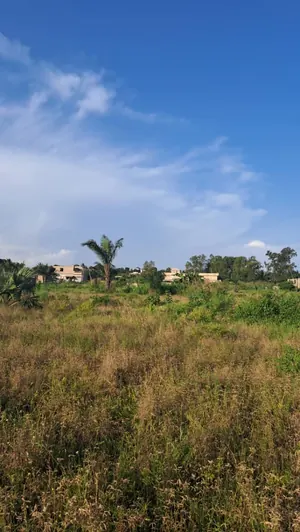 Terrain 20 lots en vente à Adétikopé Kpotavé – 13 millions FCFA — photo 2