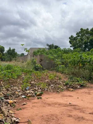 Vente de terrain à Noépé, 2 lots en bordure de voie de 70m – 10 millions FCFA le lot — photo 4