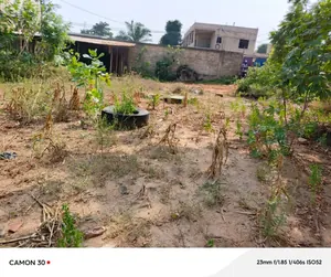 Terrain 600 m² en vente à Agoè Demakpoè – 26 millions FCFA