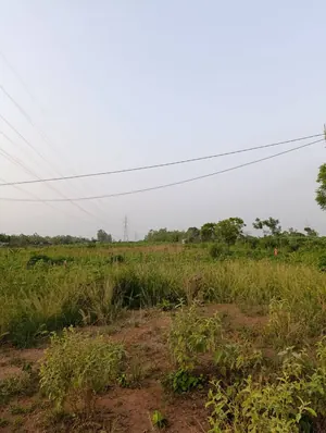 Terrain en vente à Davié Tekpo – ensemble de 17 lots contigus en bordure de grande voie – 6 millions FCFA le lot