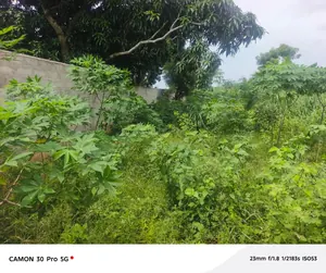 Terrain 824 m² en vente à Assigamé, angle de rue – 750 millions FCFA — photo 2
