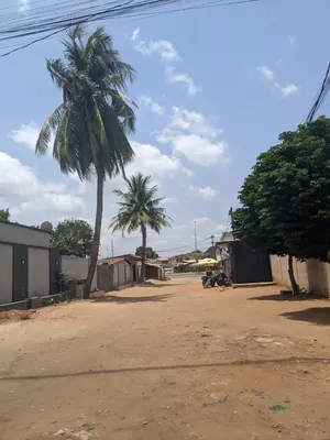 Terrain demi-lot à vendre à Agoè Assiyéye à 100 m du goudron – 30 millions FCFA