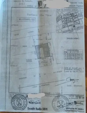 Terrain 1074 m² en vente à Assigamé (Abattoir) – 800 millions FCFA