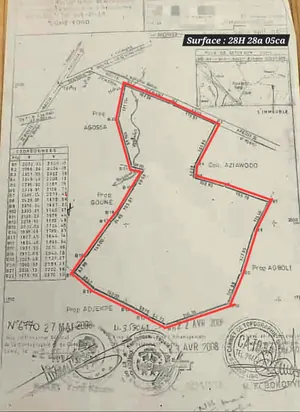 Terrain agricole de 28 hectares en vente à Badja – 3 000 000 FCFA l'hectare