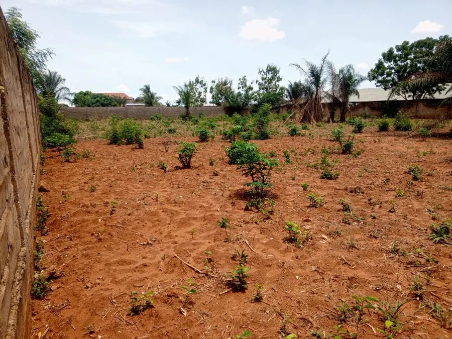 Terrain 1200 m² en vente à Djagblé Gbama-Kopé CEG – 18 millions FCFA le lot