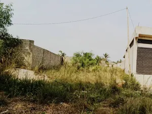 Terrain 1 lot en vente à Akato Lycée Candide – 12 millions FCFA — photo 4