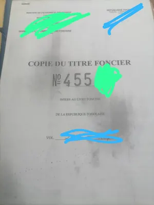 Vente d'un terrain à Attiomé, demi-lot, titre foncier – 20 millions FCFA à débattre — photo 2