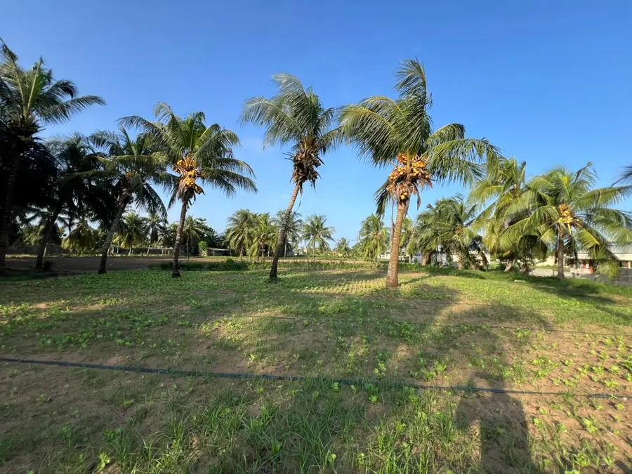 Terrain à vendre à Agbodrafo côté plage – 14 millions FCFA le lot