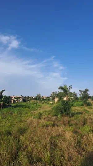 Terrain 20 lots en vente à Adétikopé Kpotavé – 13 millions FCFA — photo 3