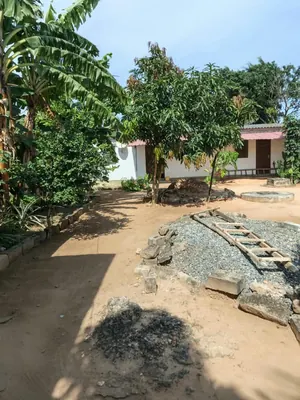 Terrain clôturé avec bâtiments en vente à Adidogomé Avenou Avé Maria – 57 millions FCFA — photo 11