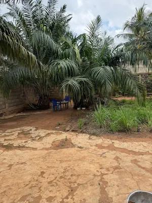 Terrain 1 lot en vente à Assigomé École Déo Gracias – 35 millions FCFA — photo 2