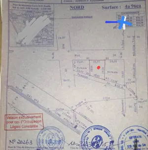Terrain 496 m² en vente à Zanguera – 22 millions FCFA