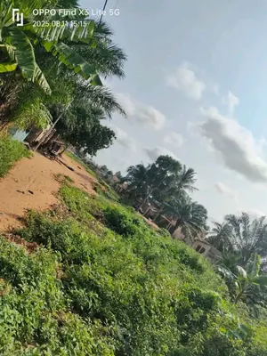 Terrain demi-lot 300 m² en vente en angle de rue à Agoè Sogbossito – 11 millions FCFA — photo 3