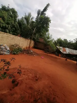 Terrain demi-lot 300 m² en vente à Adidogomé Segbé Klemè – 15 millions FCFA