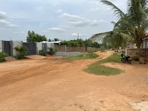Terrain 515 m² en vente à Zanguéra Ars – 25 millions FCFA — photo 2