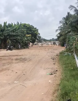 4 lots clôturés à vendre à Adidogomé Lankouvi-Sagbado – 100 millions FCFA — photo 3